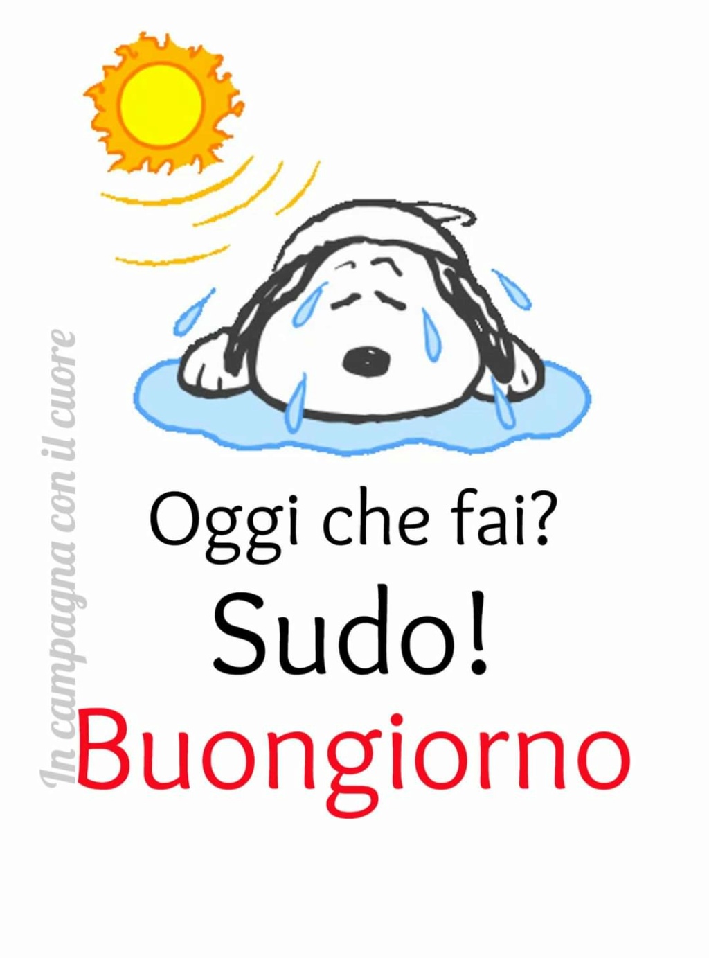 Buon Giugno 2022 Img-2013