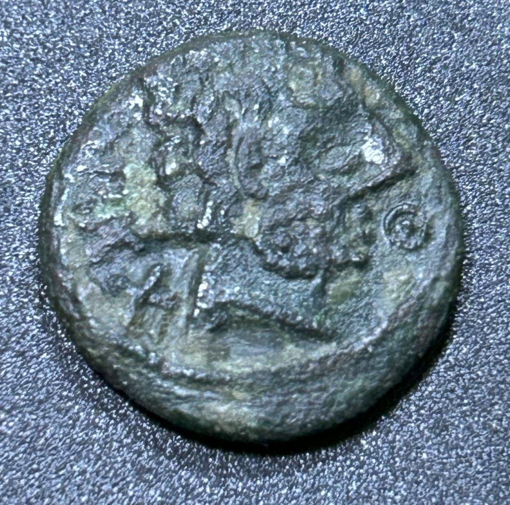 Imitación gala de denario de Baskunes. Img_0616