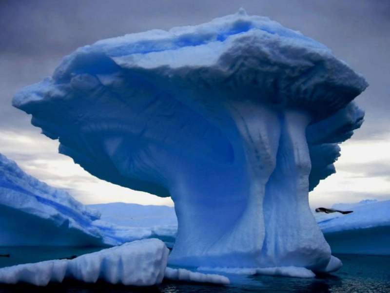 Величественные плавучие ледяные горы. Phot1100