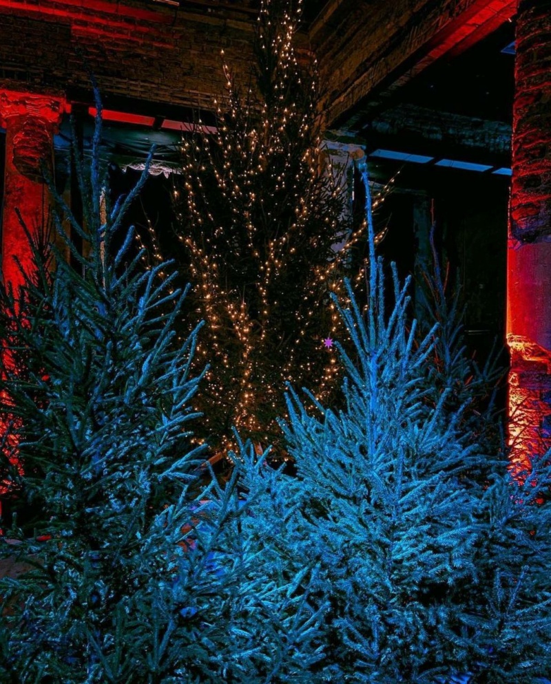 В Анненкирхе открывается мультимедийная рождественская выставка Photo301