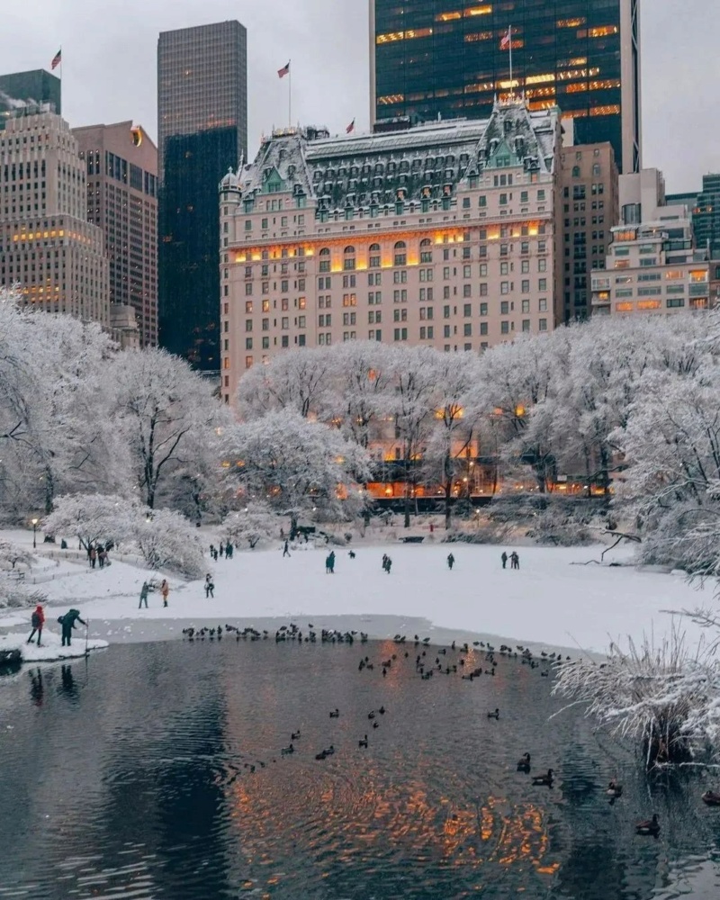 Зима в Нью-Йорке на фото marzenka_ Photo325