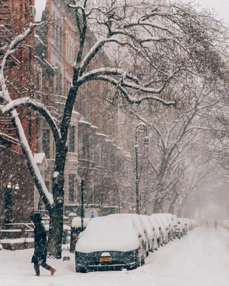 Зима в Нью-Йорке на фото marzenka_ Photo326