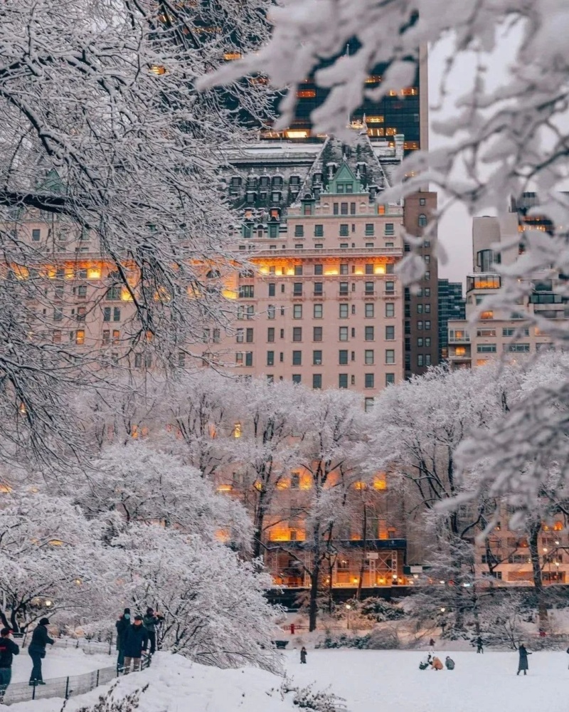 Зима в Нью-Йорке на фото marzenka_ Photo327