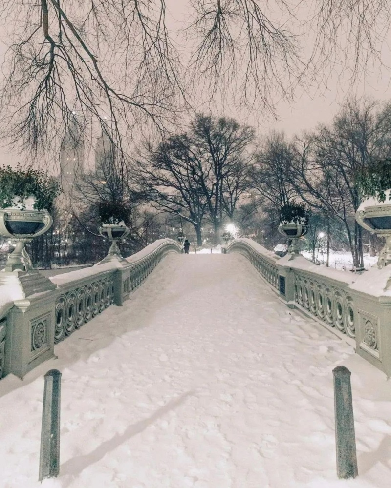 Зима в Нью-Йорке на фото marzenka_ Photo328