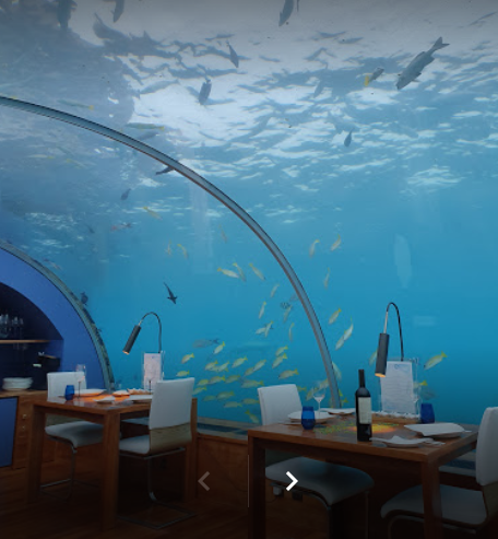 Ithaa Undersea Restaurant - подводный ресторан Screen10