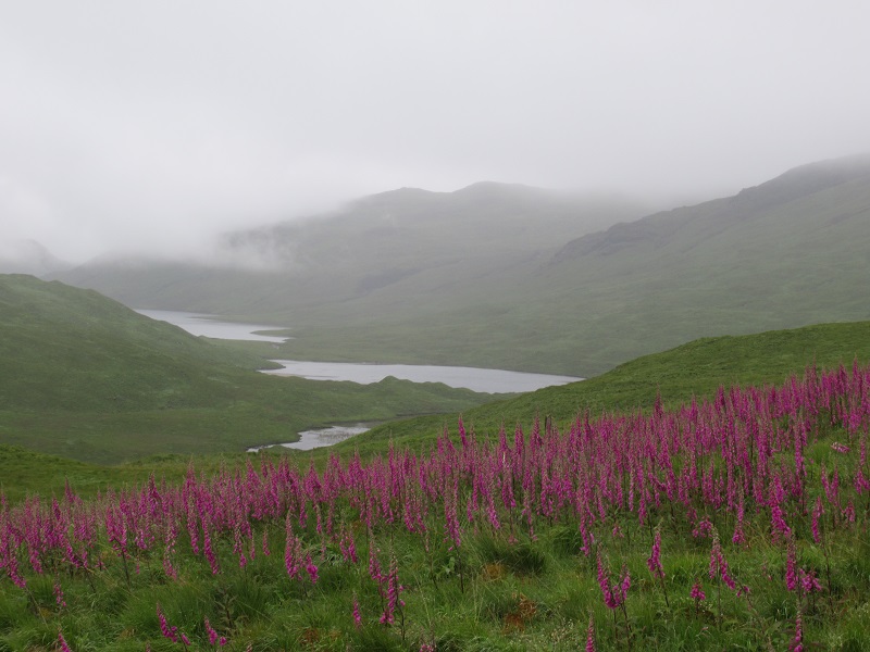 Voyage à vélo en Ecosse 22_gle10