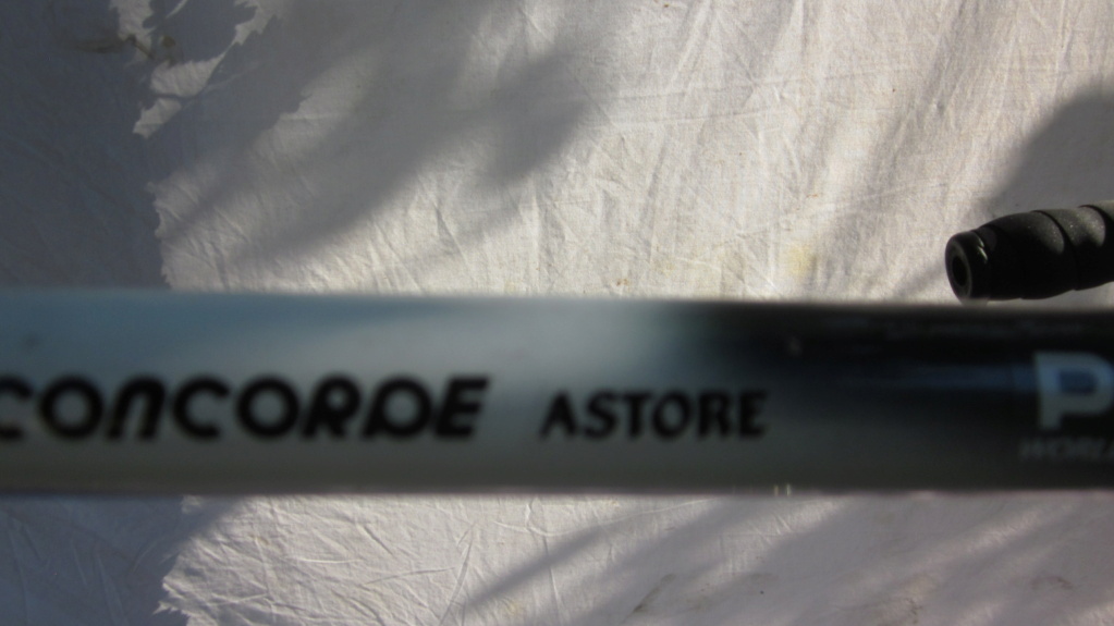 Concorde Astore Img_3531