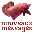 image "messages privés" remplacée par l'image "nouveau message privé" Nouv_m10