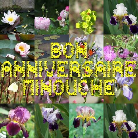 Bon Anniversaire Minouche Bon Anniversaire Minouche
