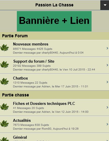 Ajouter une bannière - Version mobile ! Copie_10