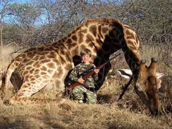 LA CHASSE AUX GIRAFES, PAS ASSEZ DE SIGNATURES SVP MERCI ! 07112310