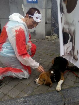 Belgique/Liege:Manif. contre les expériences sur les animaux 11898610