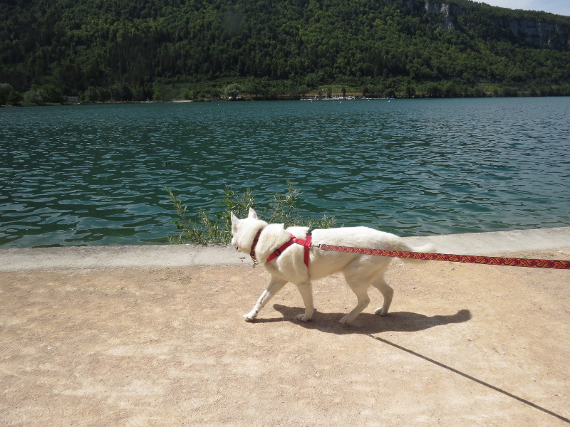 Chadka et Yocco au bord des lacs 07_yoc10