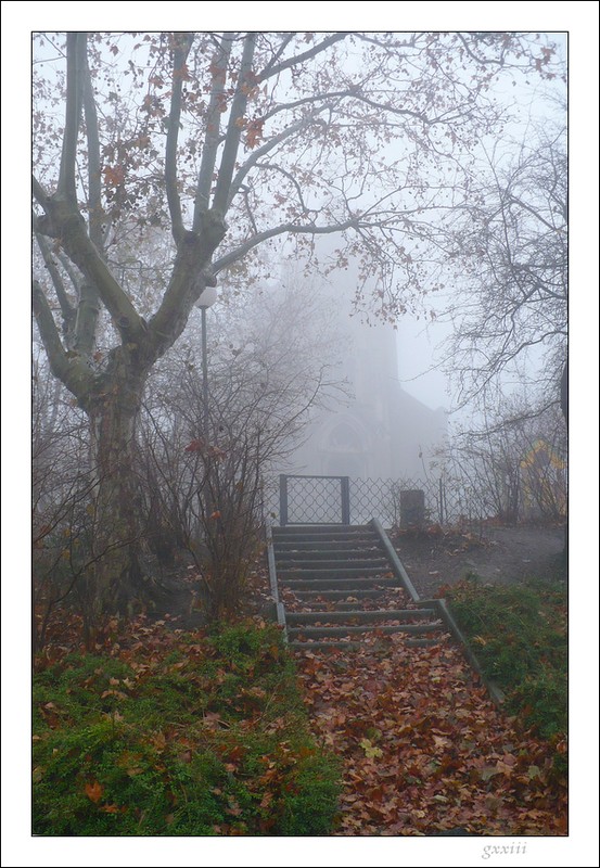 Brouillard stéphanois du 24/11/07 24110713