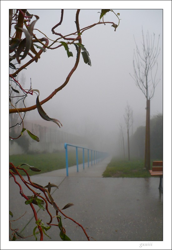 Brouillard stéphanois du 24/11/07 24110716