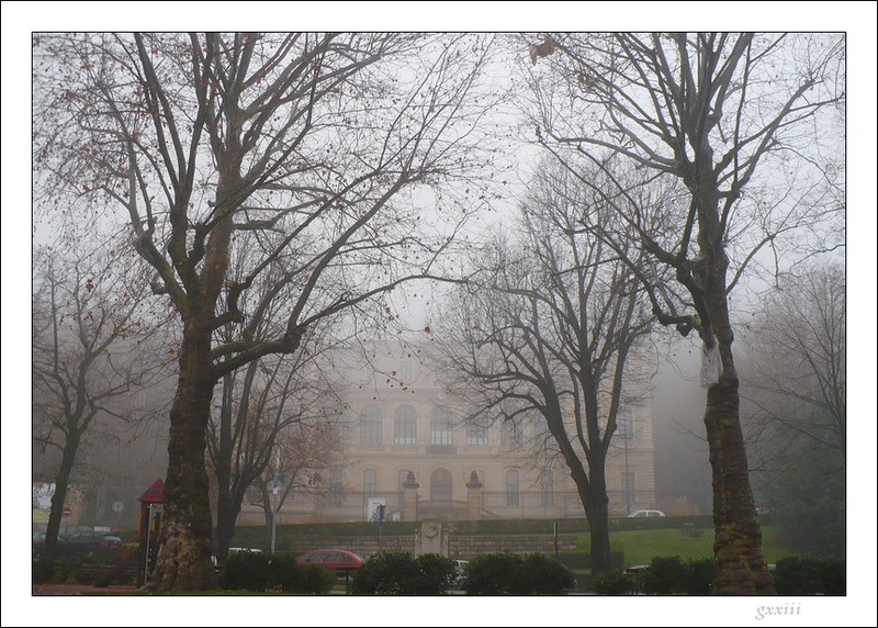 Brouillard stéphanois du 24/11/07 24110718