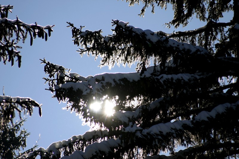 Chamoise, ce maitn Photo_10