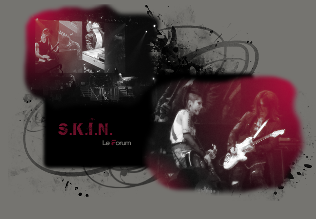 S.K.I.N