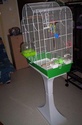 vend cage Photo_12