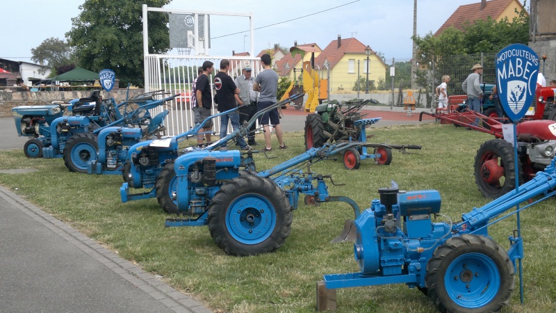 Petite expo de " Schtroumpfs "  14062013