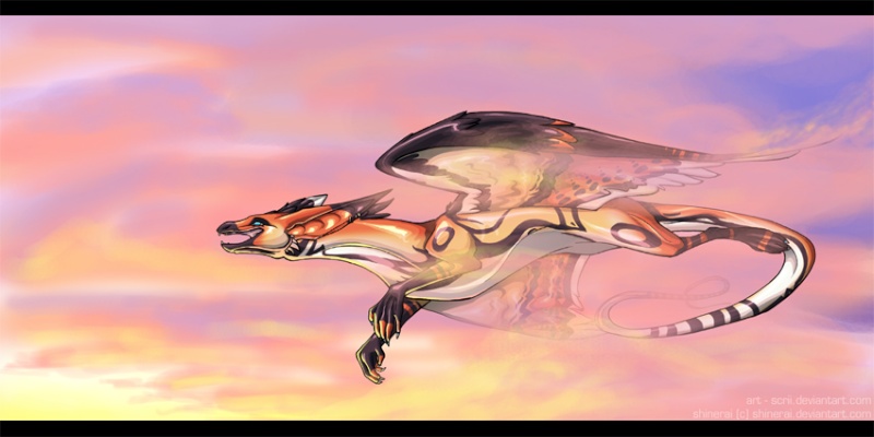 Dragons Jaunes _cloud11