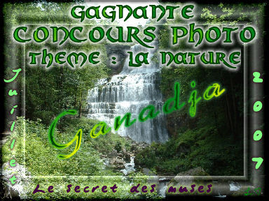 sondage 1er concours photo Ganadj10