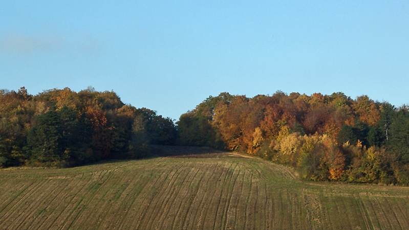paysage d'automne 1er_no10