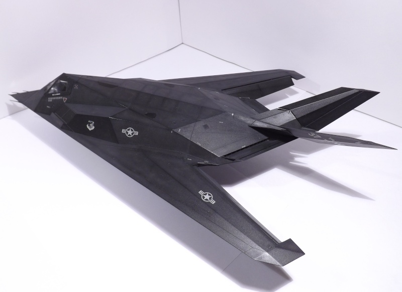 F-117 Nighthawk Tamiya 1/48 Dscf6317