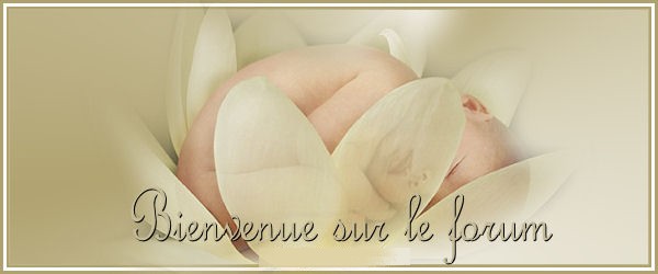 Recettes pour bébés
