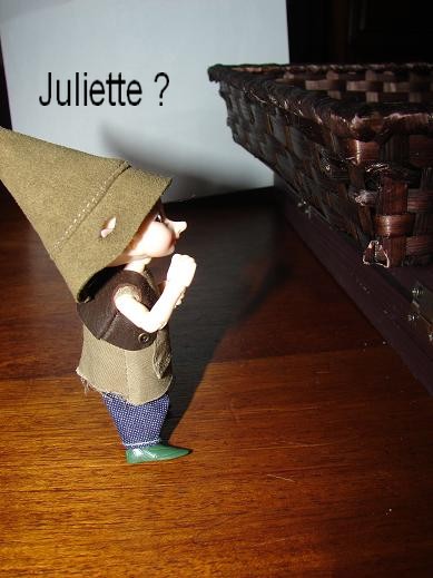 (Realpukis) Roméo et Juliette : sapin p2 ! Dsc08310