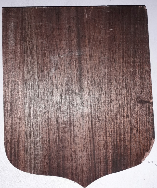 Insigne tissu 72e RIMA 20200686