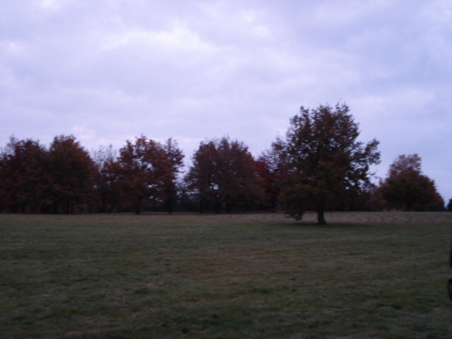 Les monts d'or, dans le Rhône Lyon_p12