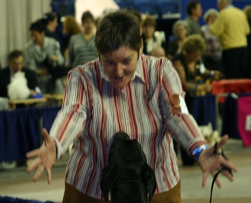 Salon national des animaux de compagnie (SNAC) - Page 3 Photo_46