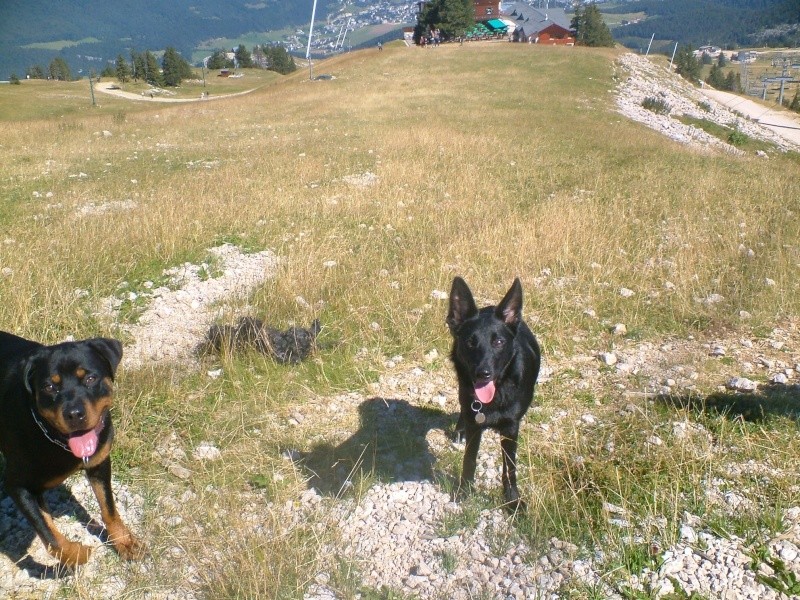 col des deux soeurs 1 Col_de92