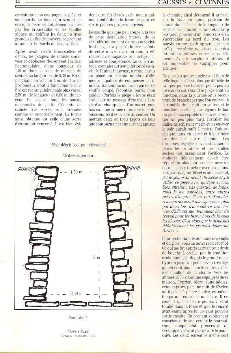 Notre Bete (celle du Gvaudan) - Page 7 Piege311