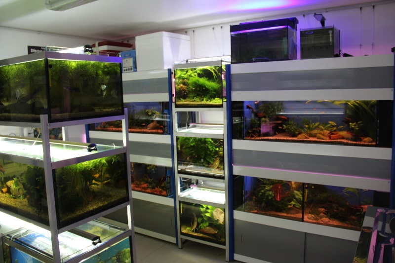 Bac de 450l et fishroom Aqua_019