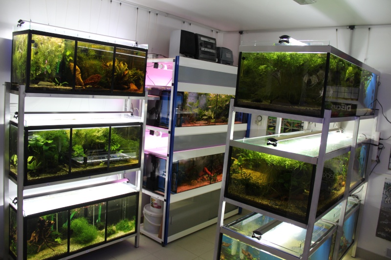 Bac de 450l et fishroom Aqua_020