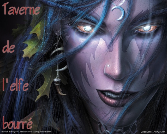 Taverne de l'elfe bourr