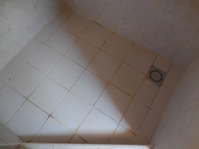 Recouvement du sol de la douche Dscn3113