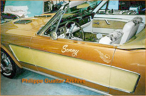 Mustang Sonny and Cher Sonny_11