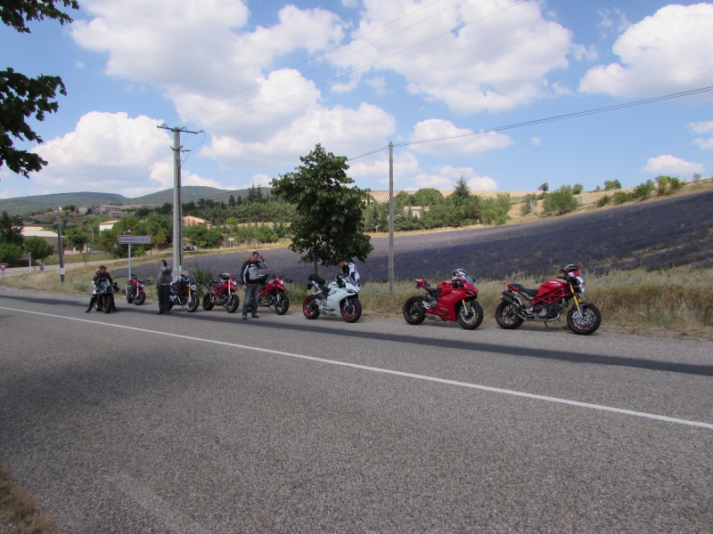 CR les lavandes 2015 Img_1220