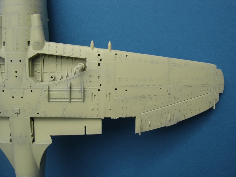 Westland WYVERN S4 - 1/48 - [Trumpeter] -  - Page 3 Dsc06733