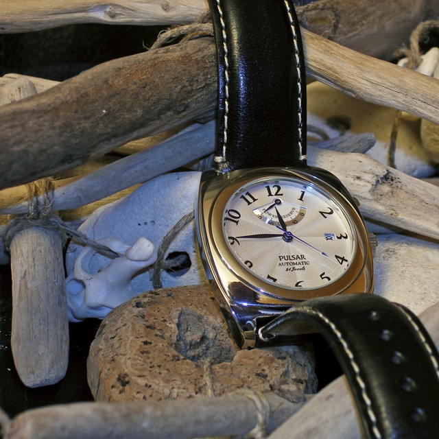 recensement : vos problèmes avec Seiko Pauto210
