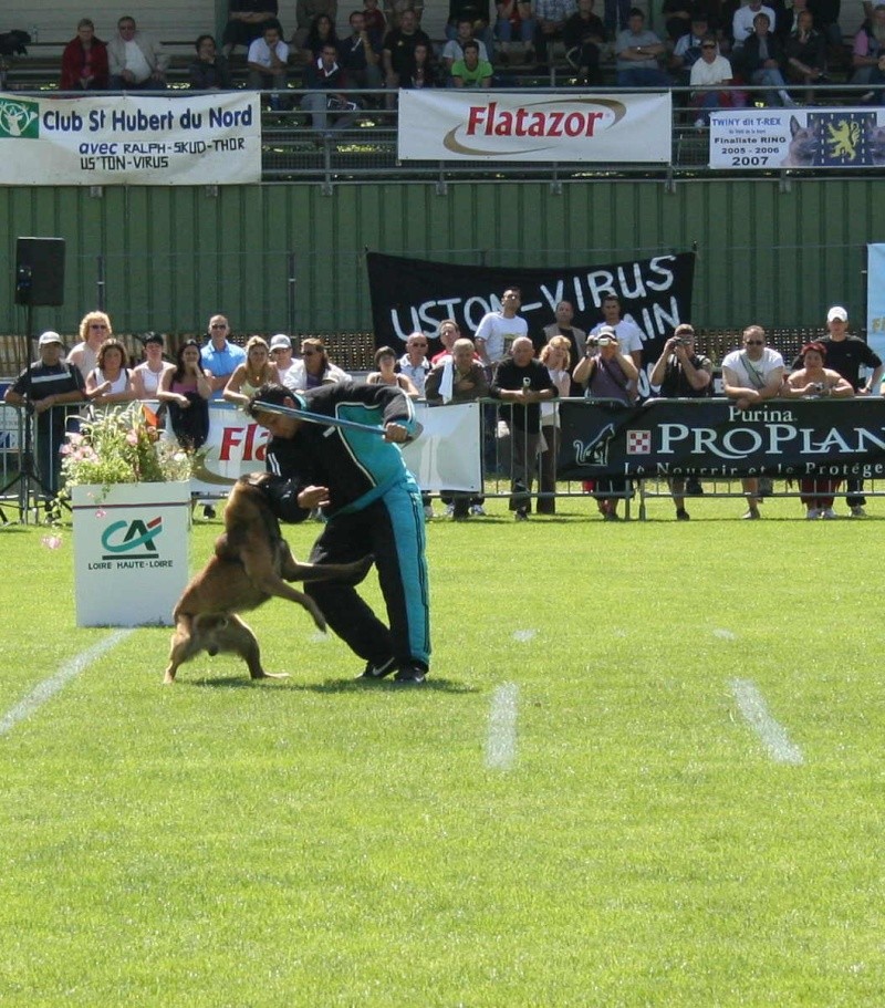 photos du mordants en ring Img_0614