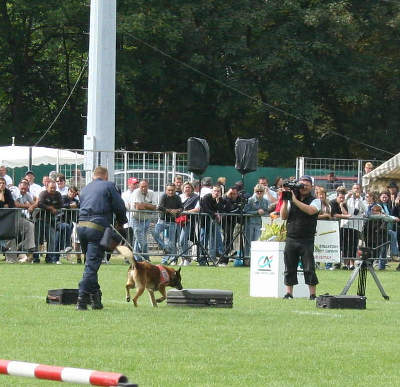 démonstration de chien de la gendarmerie Img_0824