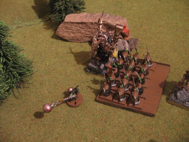 Ogres VS Peaux-Vertes, 890 points...(si,si!) Img_3626