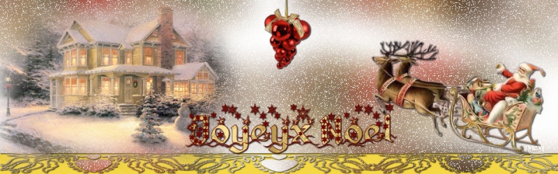 Joyeux noël et bonne année 2010 Noel-t10