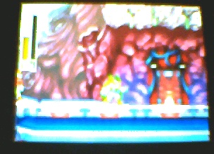 Topic d'aide Megaman ZX Screen11