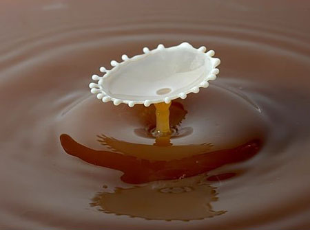 عندما تسقط قطرة حليب في فنجان قهوة 22042011
