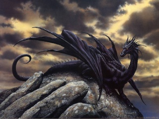 dragon Black_15